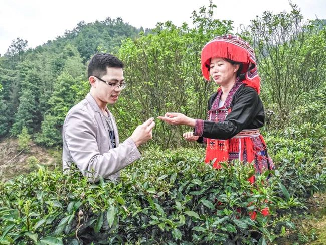 祝雪兰（右一）向村民传授六堡茶种植及管护知识