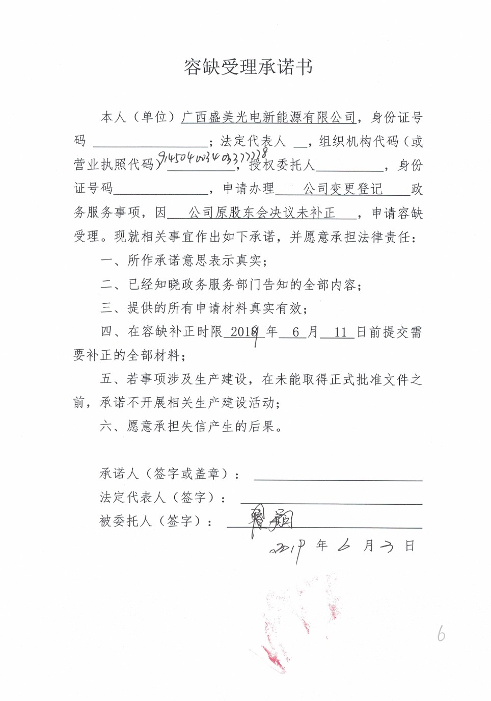 广西盛美光电新能源有限公司.jpg