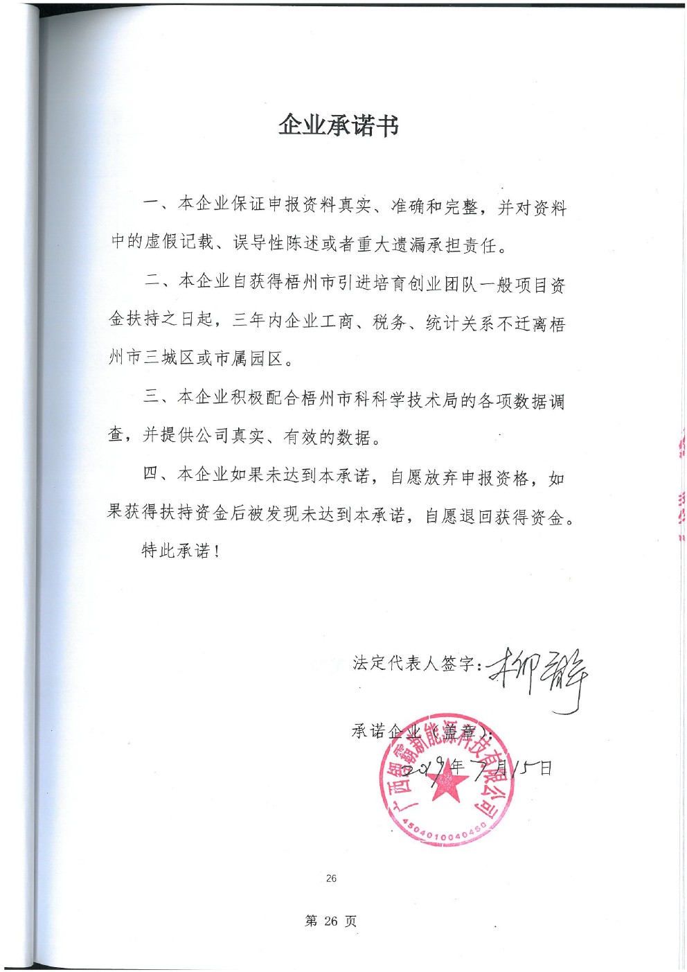 广西锂霸新能科技有限公司